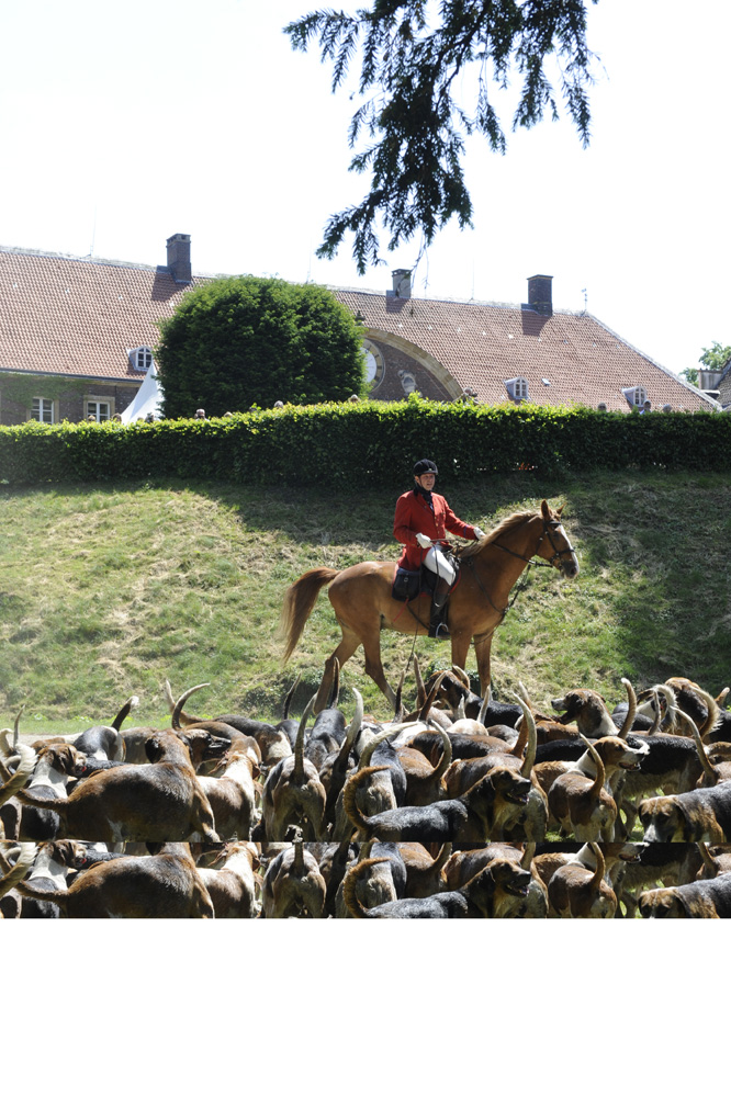 frhling-im-park-2013